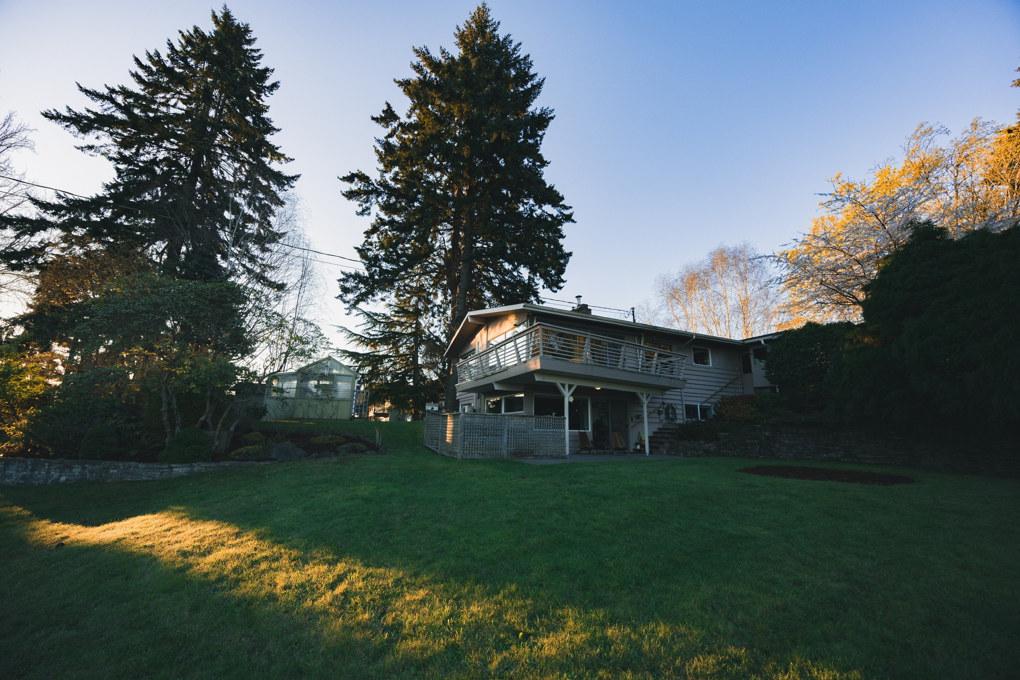 Backyard lawn and mid-century home at golden hour