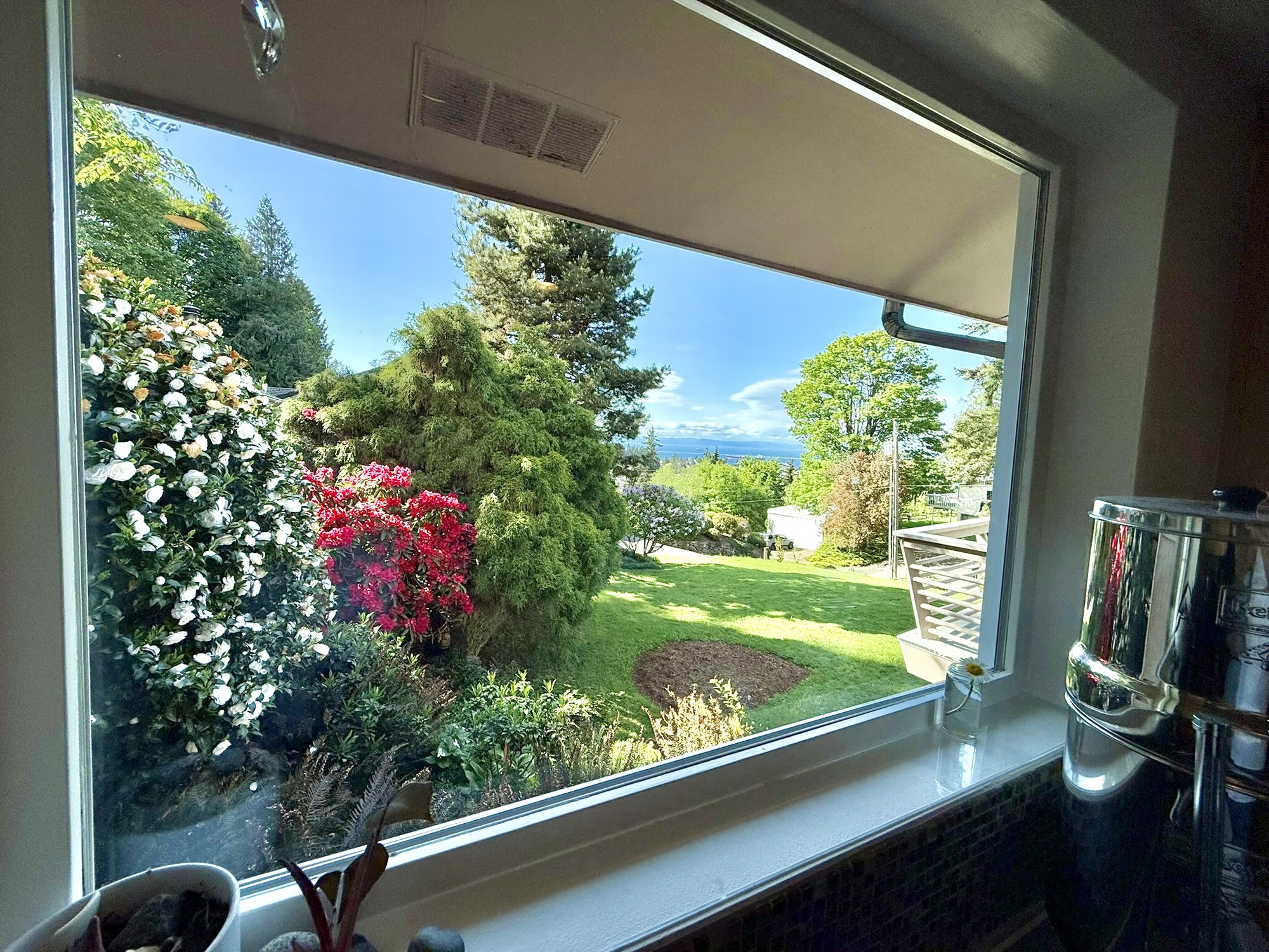 View from the kitchen window