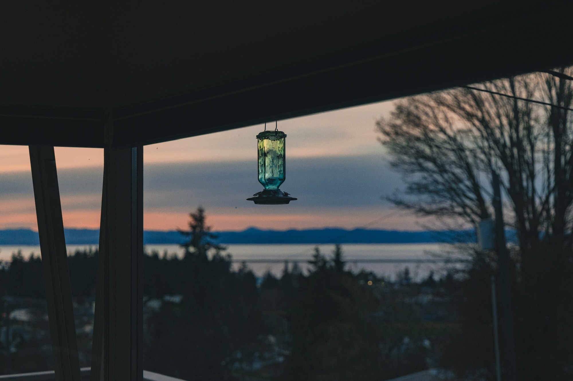 Hummingbird feeder at dusk