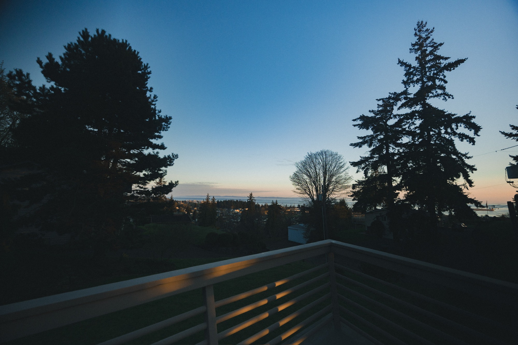 Backyard at dusk