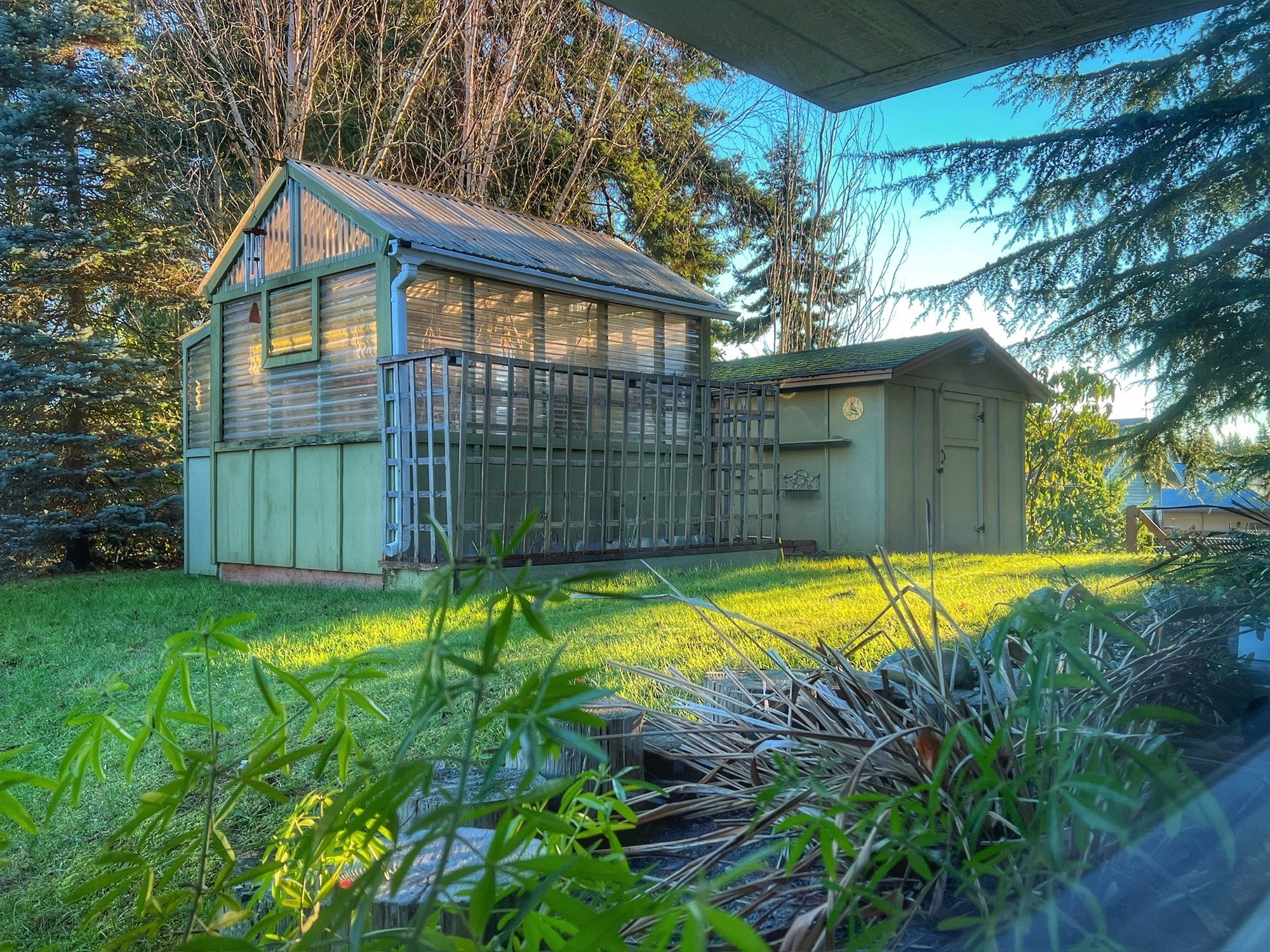 Greenhouse and woodshed